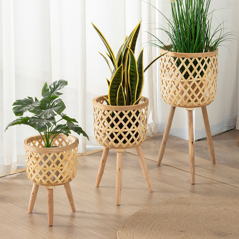 Vasos de Bambu Artesanais